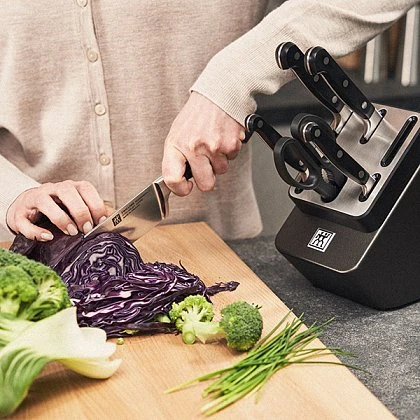 PROFESSIONAL S – навсегда